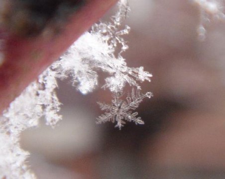 Снежинки прехвърчаха над Пловдив, какво време ни очаква през деня