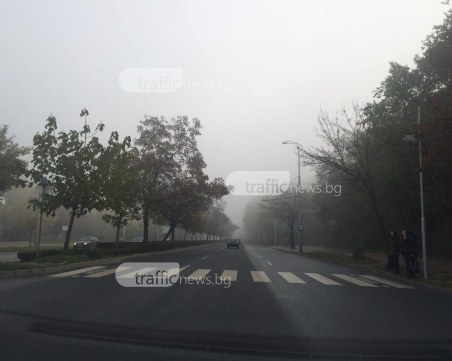 Гъста мъгла в Пловдив и областта, видимостта е намалена до 300 метра