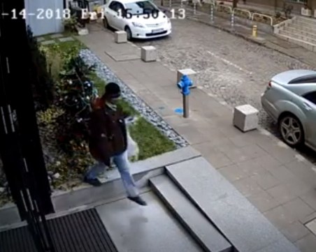 Кой открадна Коледа? ВИДЕО засне как мъж задига еленчето Рудолф от бизнес център