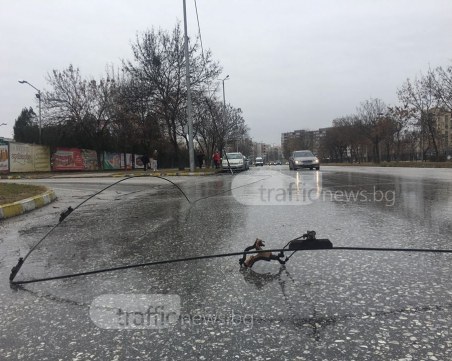 Затвориха за движение улица в Тракия заради падналите жици ВИДЕО