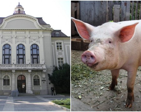 Кметът кани пловдивчани 