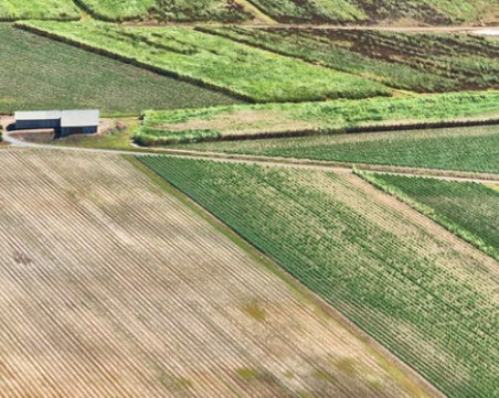 Дават земеделски земи на млади фермери без търг