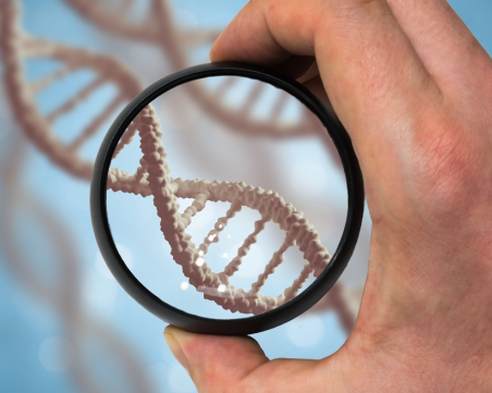 Бихте ли подарили на свой близък за Коледа ДНК-тест? Американците го правят