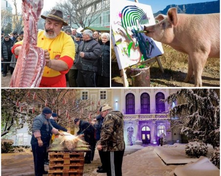Никога не се бори с прасе - и двамата ще се окаляте, но на прасето ще му хареса СНИМКИ
