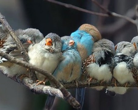 Защо на едни винаги им е студено, а на други все им е топло?