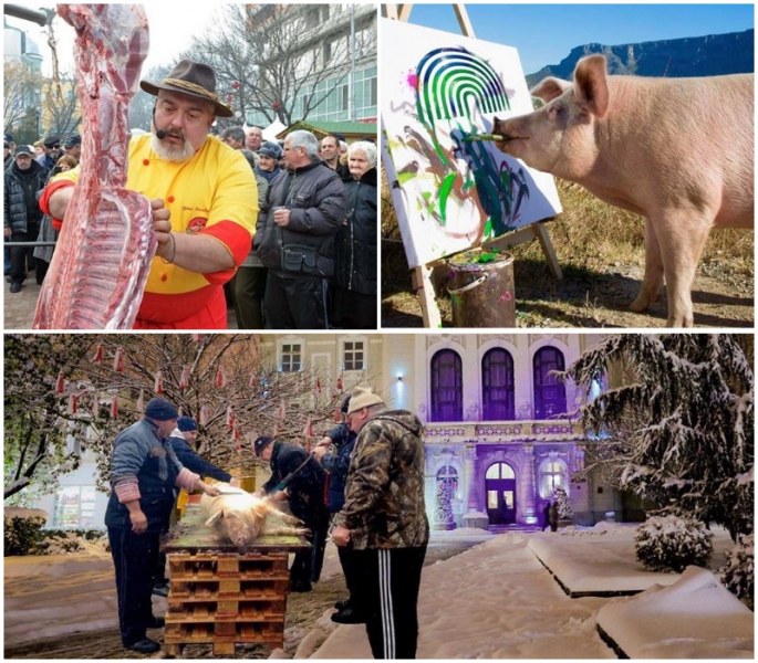 Никога не се бори с прасе - и двамата ще се окаляте, но на прасето ще му хареса СНИМКИ