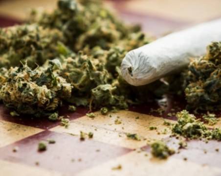 Арестуваха двама мъже с голямо количество марихуана в Пловдив