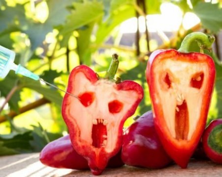 Как да разпознаете ГМО плодовете по етикета?