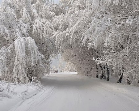 Тази нощ официално настъпва астрономическата зима
