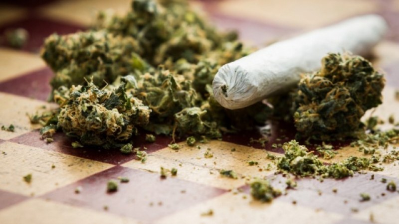 Арестуваха двама мъже с голямо количество марихуана в Пловдив