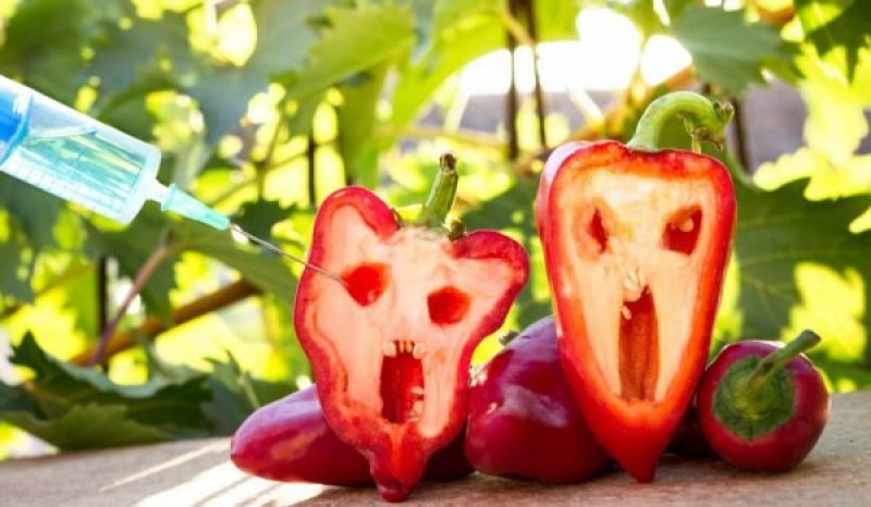 Как да разпознаете ГМО плодовете по етикета?