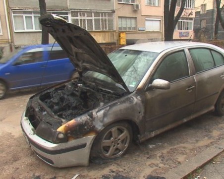 Пазят свидетел по 