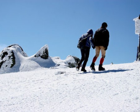 Жена пострада при разходка на Витоша