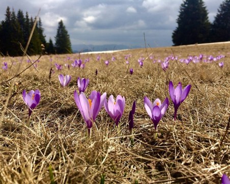 Българинът хваща гората: 4,7 млн. пъти сме били из планините през годината