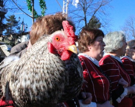 Обичай на 200 години пресъздават на час от Пловдив ВИДЕО