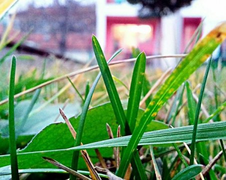 Това ли е зимата в Пловдив? Изпращаме годината с есенни температури СНИМКИ