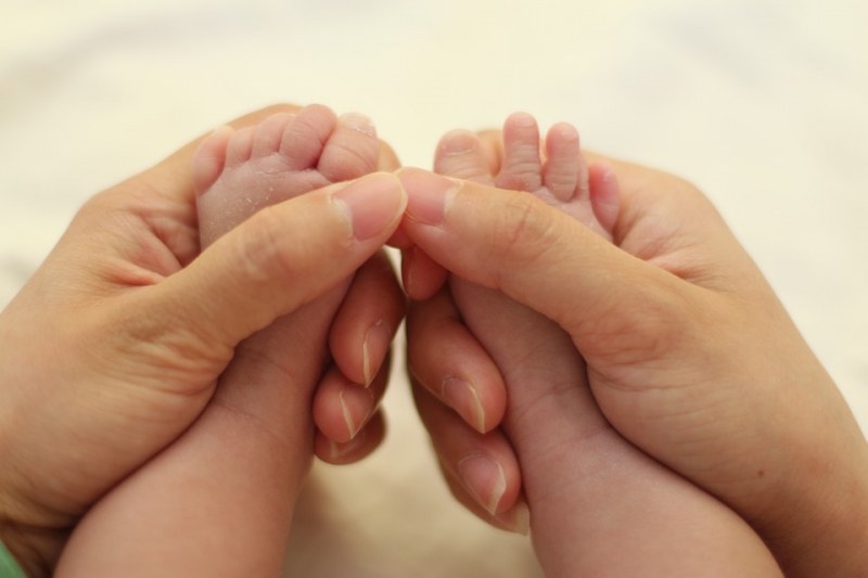 Какви ще бъдат децата, родени в годината на свинята?