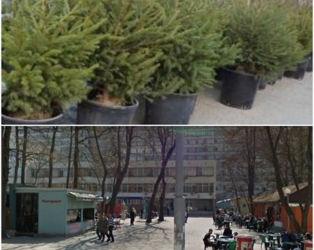 Ресторант в Смирненски заплашен със запечатване, търговец на елхи също хванат в крачка