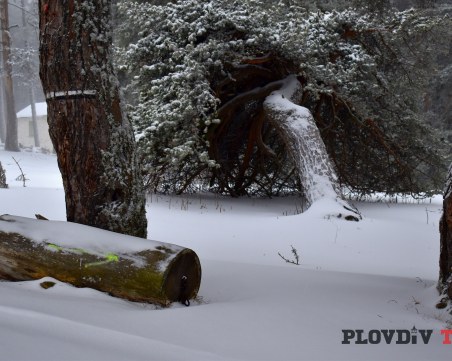 Зимата разстла бялата си пелерина на километри от Пловдив СНИМКИ