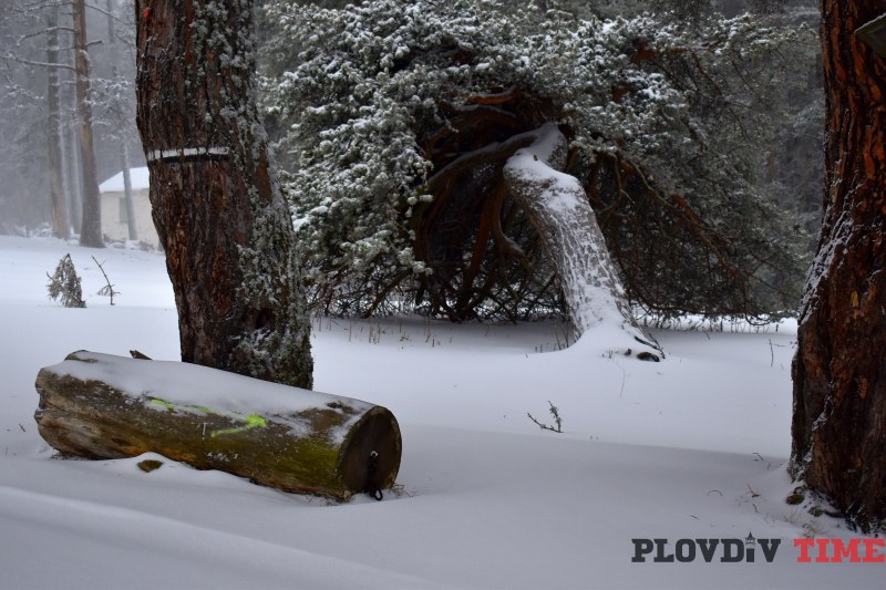 Зимата разстла бялата си пелерина на километри от Пловдив СНИМКИ