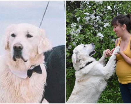 Нанук изчезна край Пловдив! Повече от месец няма следа от него СНИМКИ