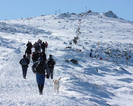 Спасителни служби прибраха петима изгубили се туристи на Черни връх