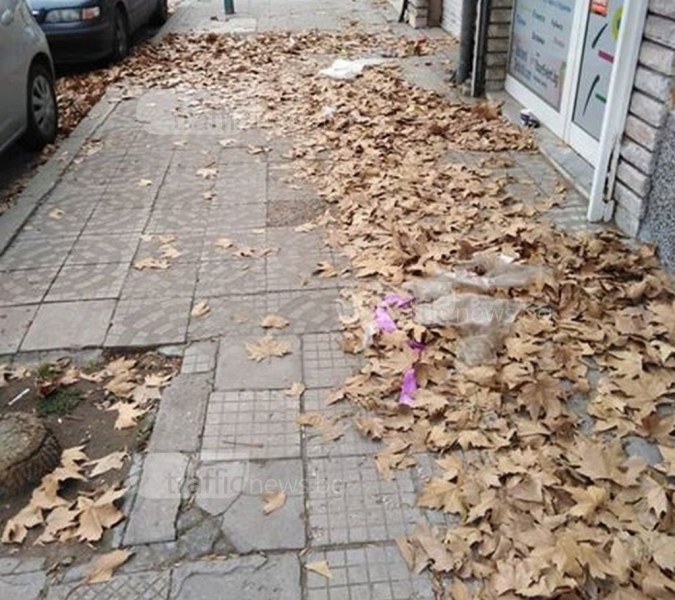 Листопадът отмина, но листата остават! Пловдивчани се оплакват от непочистени улици СНИМКИ