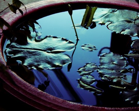 “Мълчаната вода“ в нощта срещу Богоявление сбъдва желания