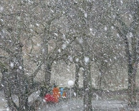 Отмениха полети заради буря в Германия, движението по пътищата също е нарушено