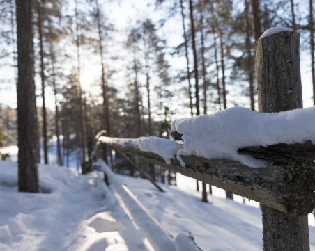Смолянско се смрази! Температурата падна до минус 19 градуса