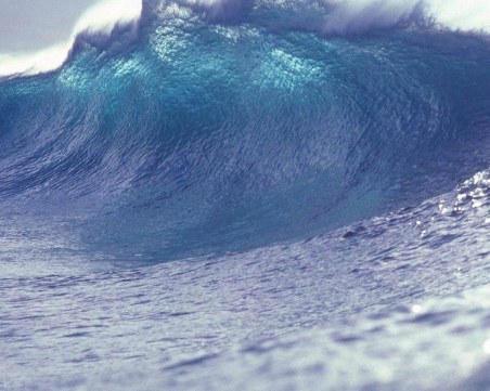 Цунамито, избило динозаврите, било високо 1.5 км