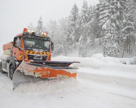 Обилен снеговалеж парализира Австрия и Германия