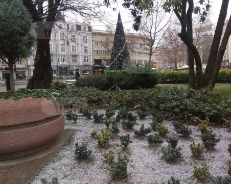 Жълт код за опасно време в Пловдив! Обилни снеговалежи в цялата страна