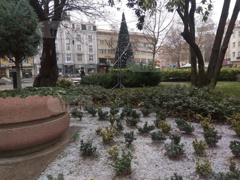 Жълт код за опасно време в Пловдив! Обилни снеговалежи в цялата страна