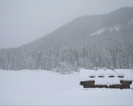 Триметрови снежни преспи натрупаха в Австрия