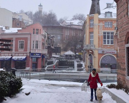 Валежите в Пловдив продължават и днес