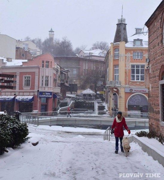 Валежите в Пловдив продължават и днес