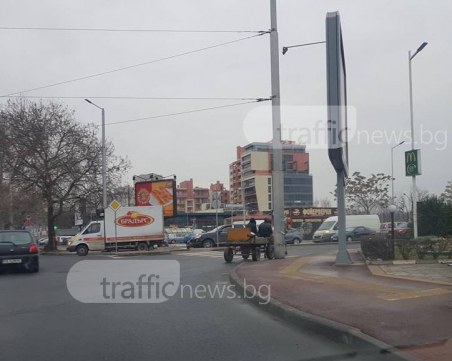 Нито глоби, нито закони плашат каруцарите в Пловдив СНИМКИ