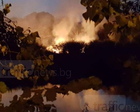 Пожар избухна в коритото на река Марица в Пловдив