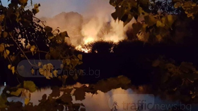 Пожар избухна в коритото на река Марица в Пловдив