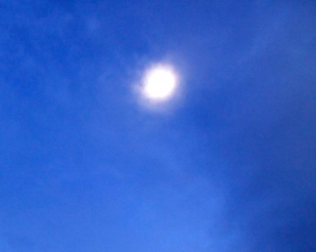 Картофи и зеле поникнаха на обратната страна на Луната