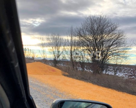 ТИР заля с царевица половината от пътното платно на пътя между Борован и Враца