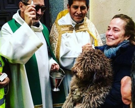 Кучета и котки получиха благословия в чест на Св. Антоний