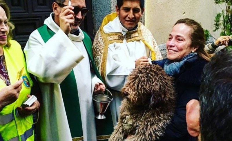 Кучета и котки получиха благословия в чест на Св. Антоний
