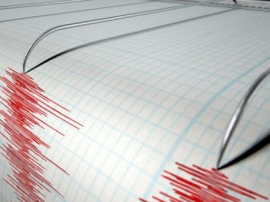 Земетресение разлюля Вранча тази нощ
