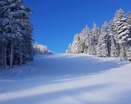 Моторни шейни предизвикаха лавина край Осогово