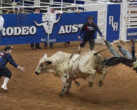 Трагичен инцидент! Един от най-добрите бикоборци загина пред очите на зрителите