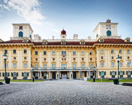 Австрийска аристократка от богата фамилия изчезна мистериозно и после се появи