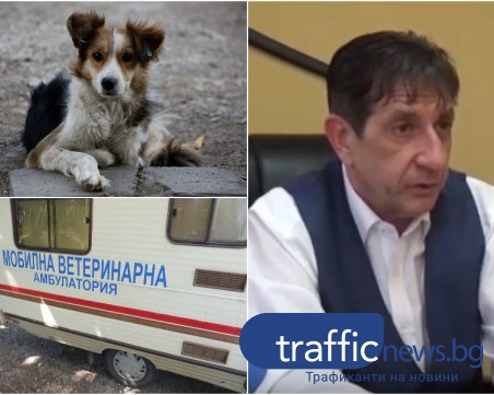 Кметът на Стамболийски пред TrafficNews за бездомните животни и “миграцията“ им по общините ВИДЕО