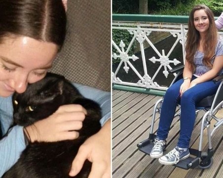 Погалване на улична котка парализира момиче